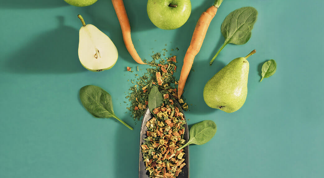 Le thé noir empêche-t-il l’absorption du fer