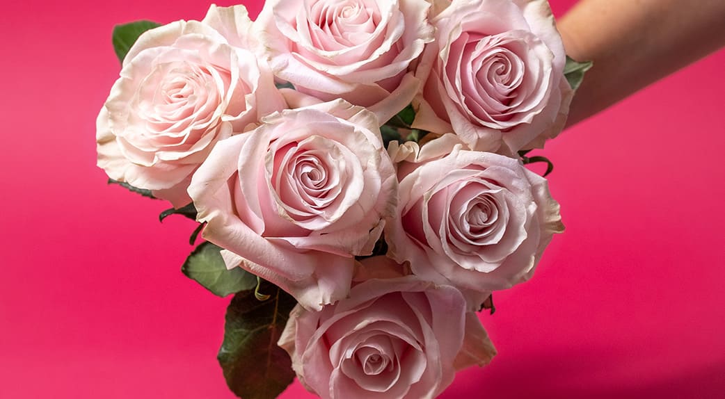 Quels sont les bienfaits de la tisane à la rose ?