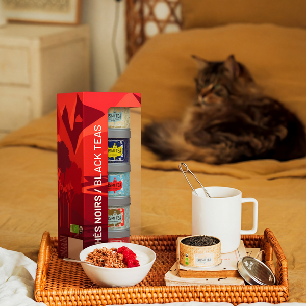 Coffret Les Thés noirs bio