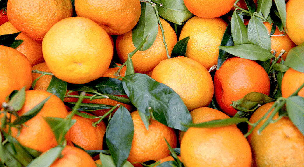 Tout savoir sur la Vitamine C