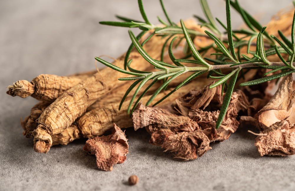 Les bienfaits du ginseng : propriétés, usages et conseils santé