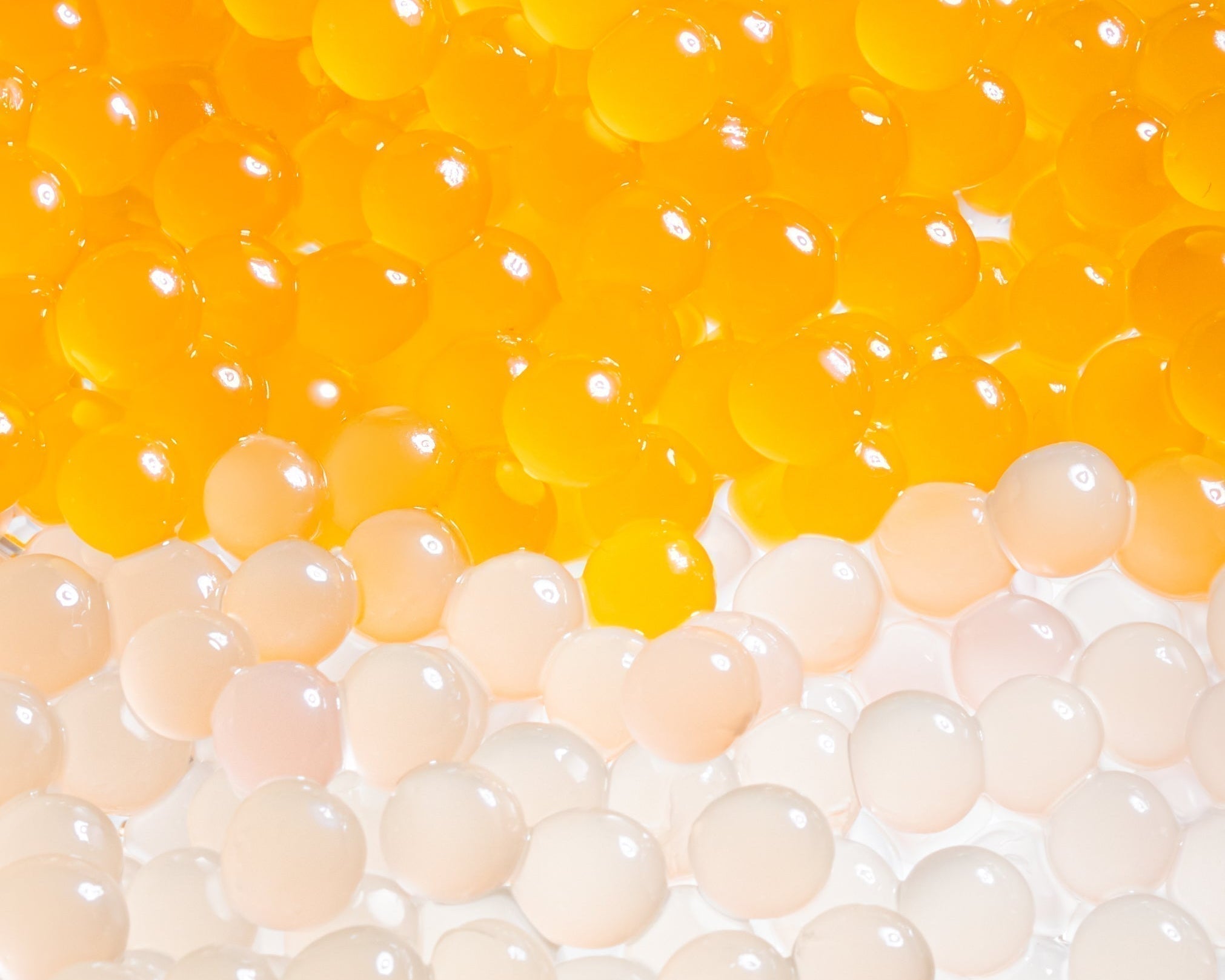 Popping boba : origine et usages