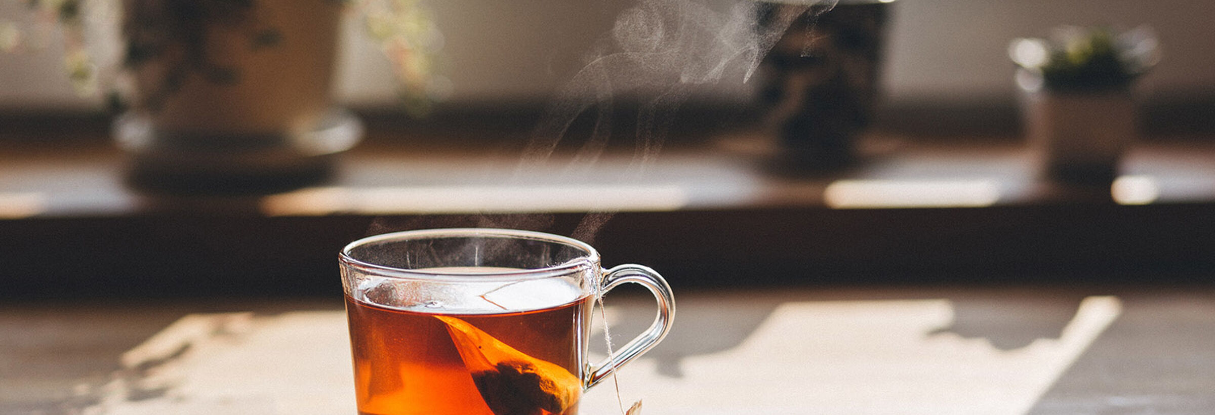 Infusion et tisane : comment les choisir et les préparer ?