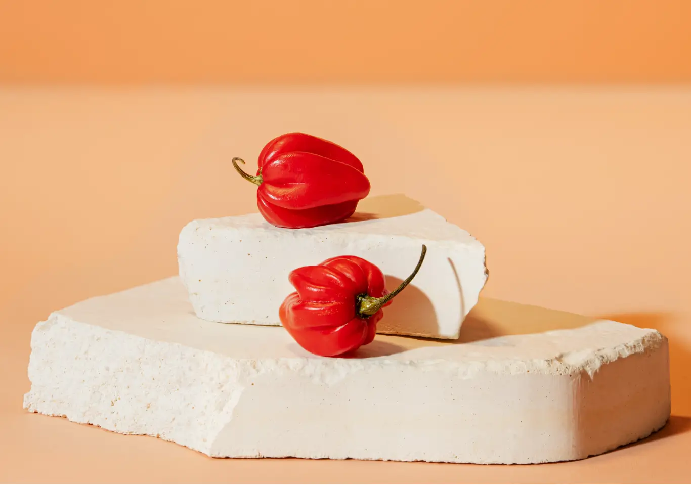 L’acérola, la "cerise des Barbades" vitaminée.