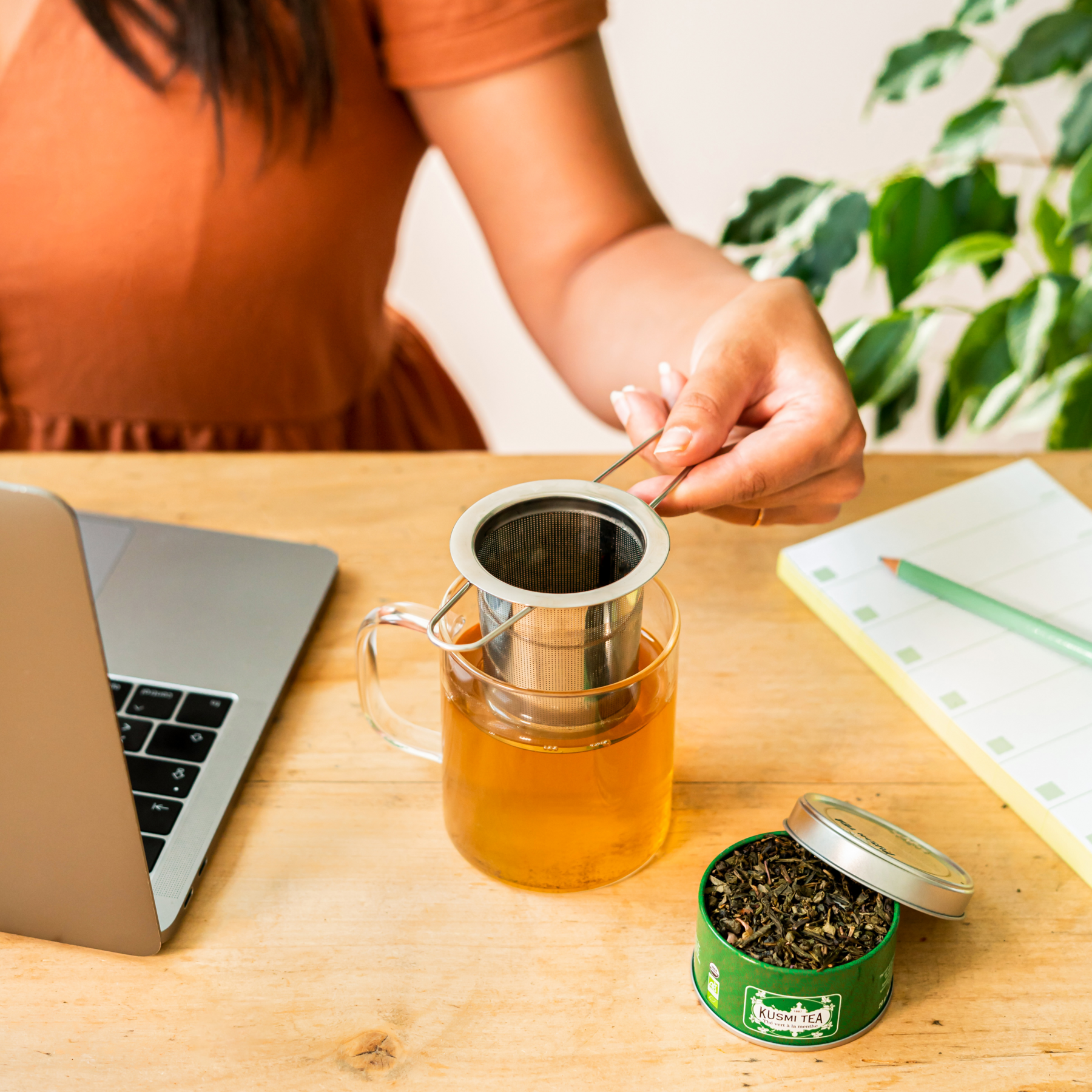 Infuseur poignées rabattables