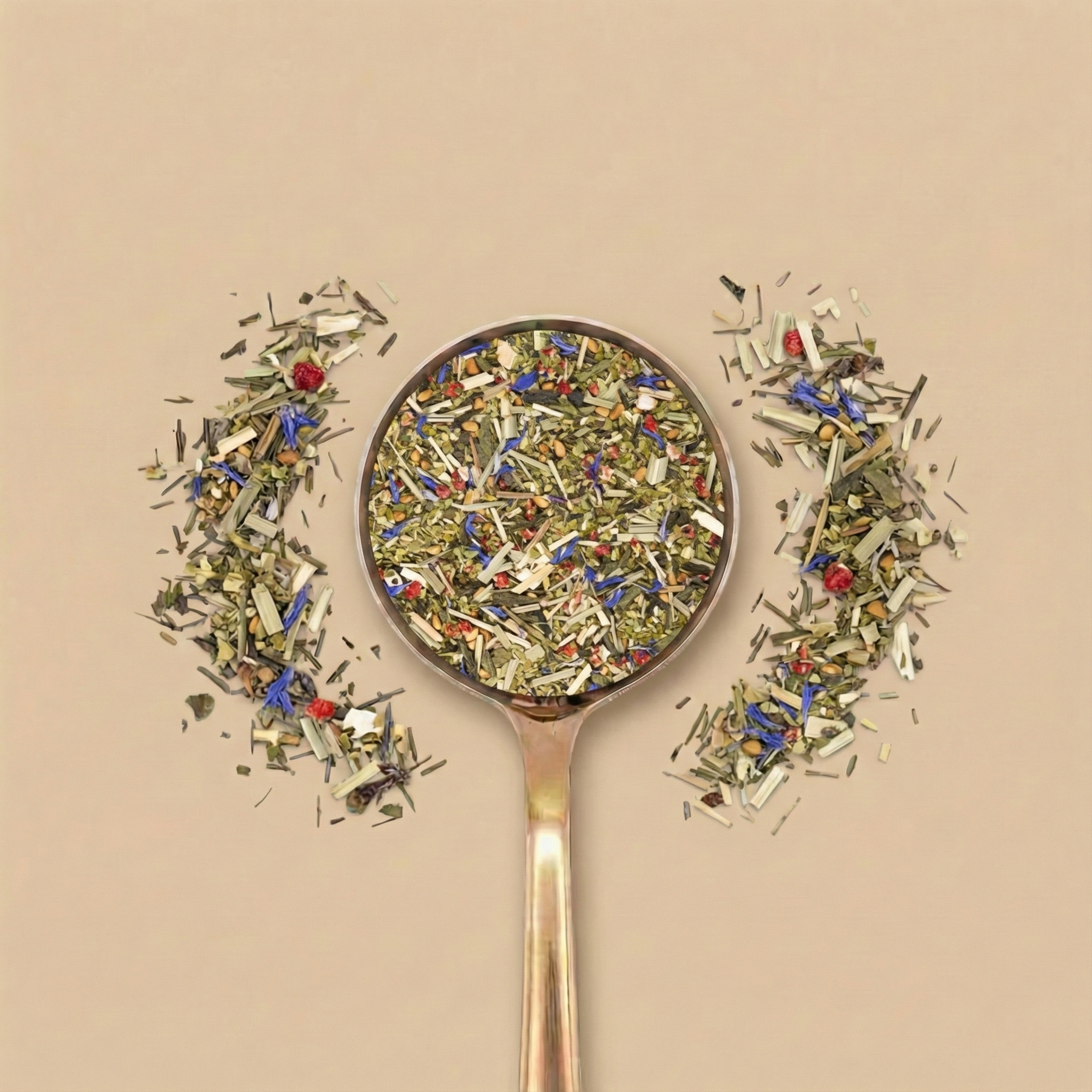 Petit déjeuner à l'Élysée